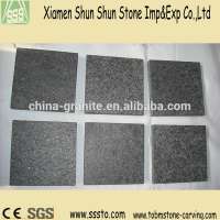 Absolute Black Granite Flamed Floor Tiles