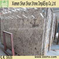 Polished Delicatus Light Granite Slabs